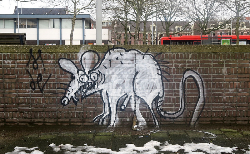 Graffiti in Amsterdam